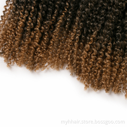 60g/pack synthetic 12 inch curly Braid ombre braiding hair extentions brown,black,bug crochet braids hair Passion Twist